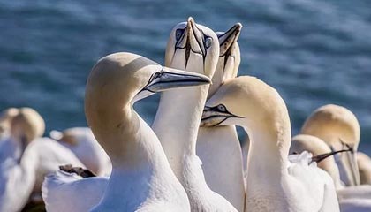 华体会hth官方网站下载-英超冠军争夺：悬念激烈，精彩纷呈！，英超冠军分析