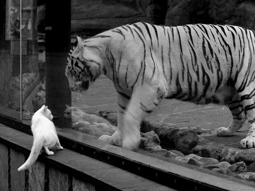 华体会hthapp登入-_快船双雄联手发威，横扫主场敌手_，快船队集锦