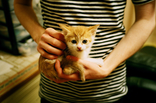 史上最激烈“冠军之战”：精彩程度令人窒息，冠军之战13秒通关