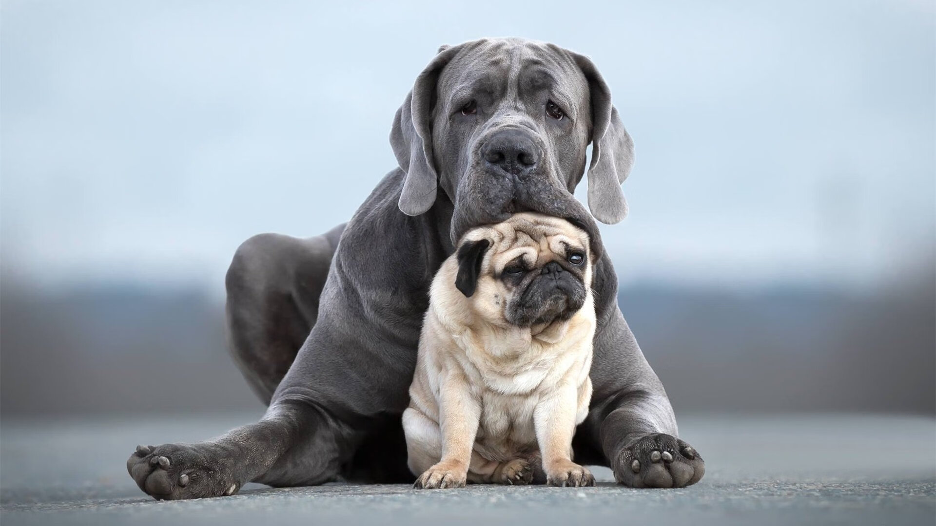 法甲比赛高潮迭起，战术调整显著，精彩进球频出，法甲的比赛