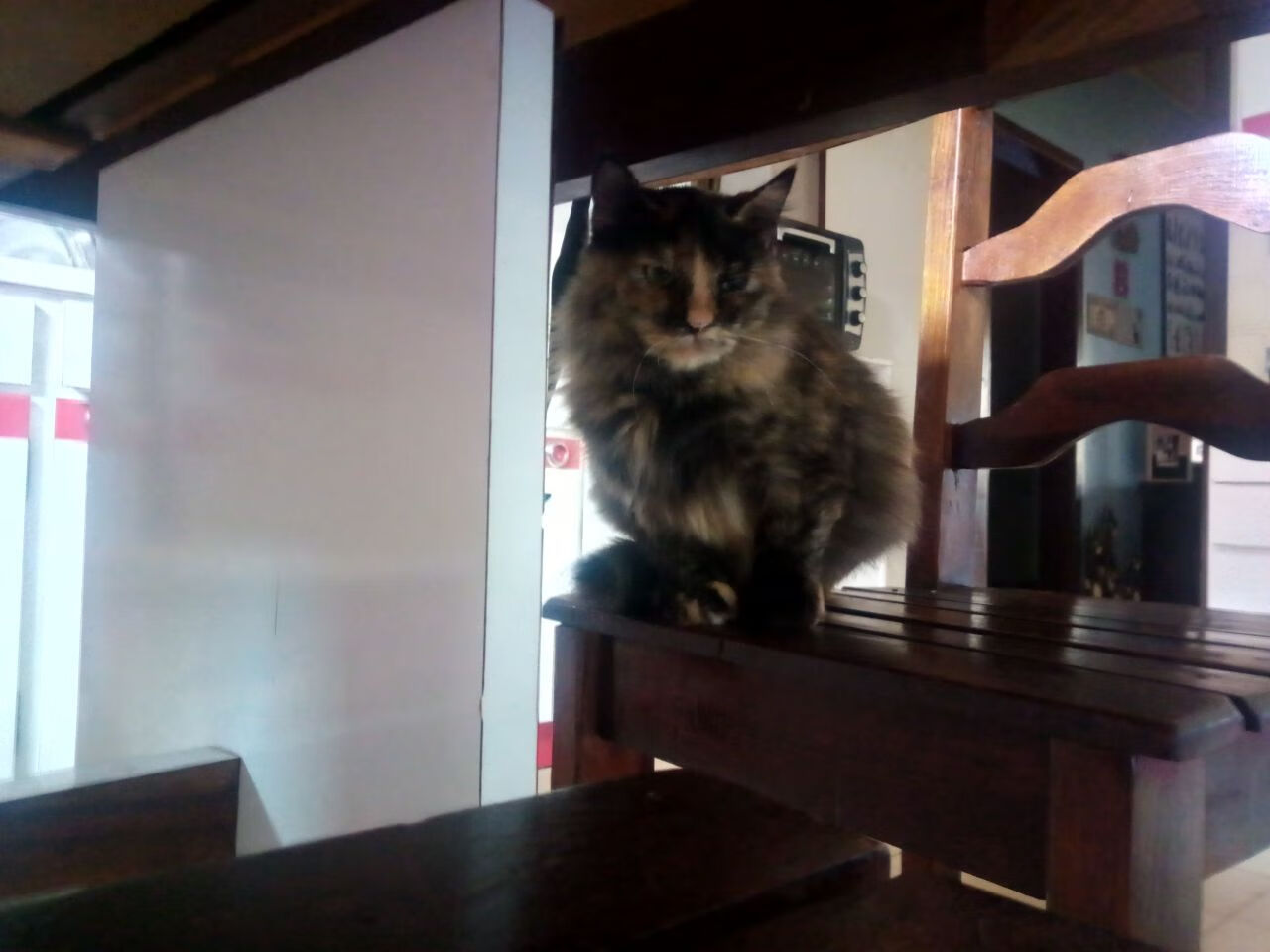 逆转“奇迹之夜”:那些创造历史的比赛,奇迹之夜什么意思