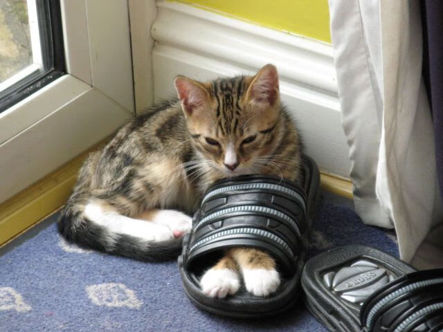 逆转大战:哪些球队成功实现逆袭?,大逆转 dlc