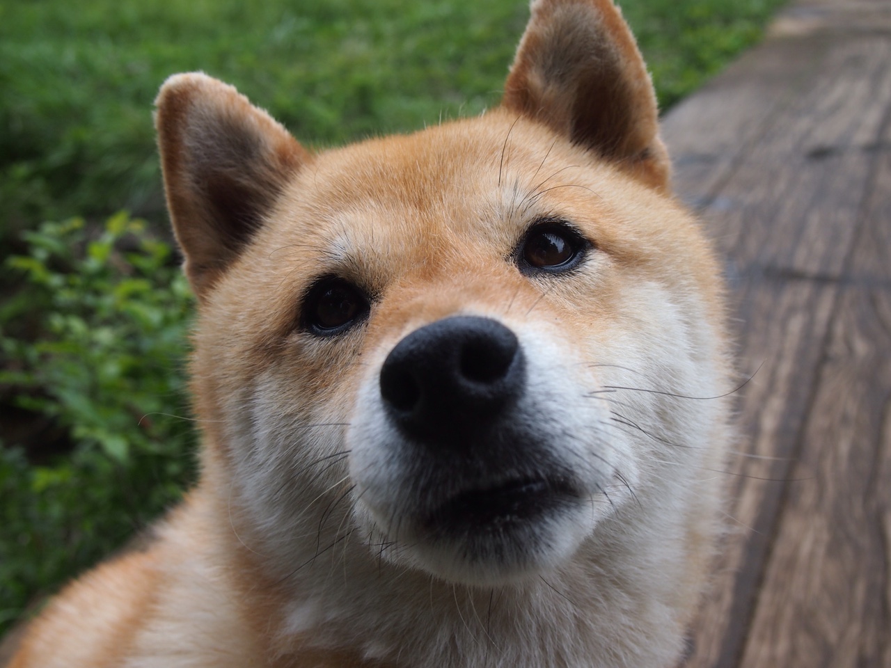 华体会手机网站-高尔夫尊中国室内公开赛吸引国际球员参赛，高尔夫 中国