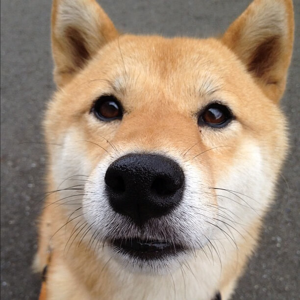 华体会登录入口-RNG季后赛对阵形势分析，rngedg季后赛