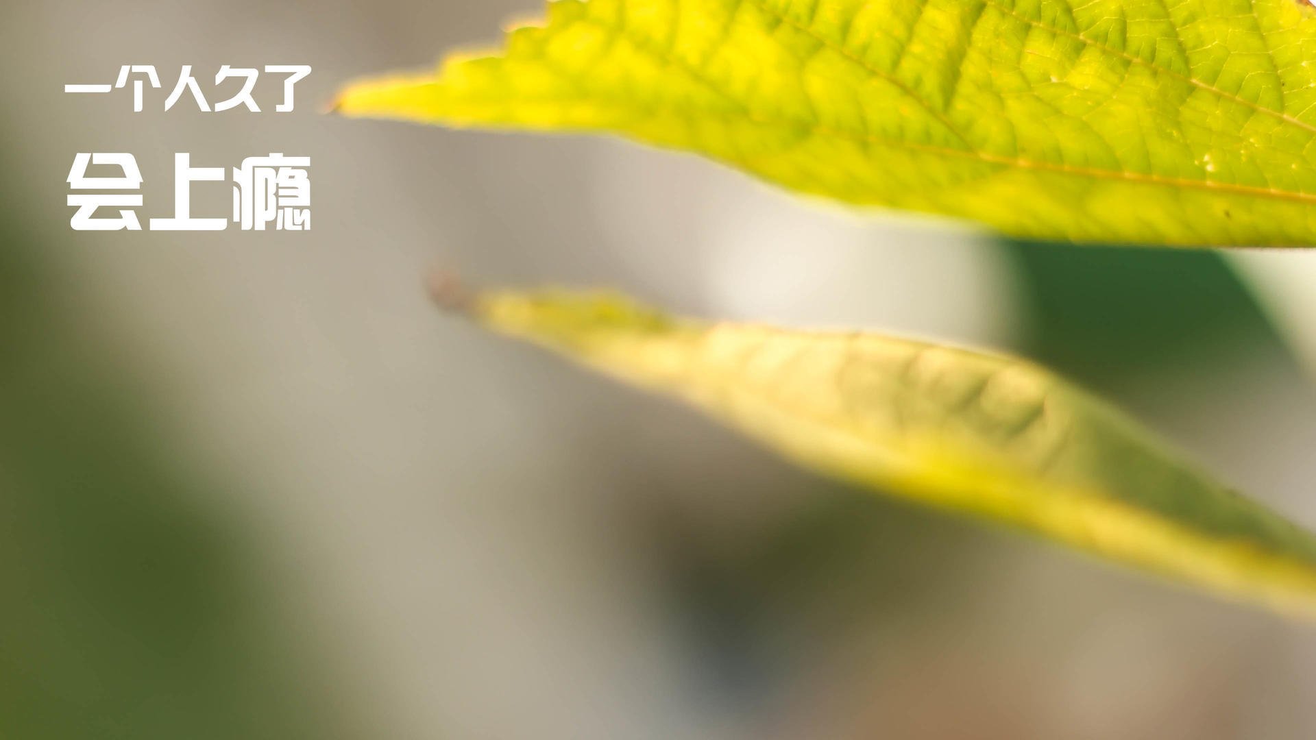 利物浦失分后势必追赶,欧冠希望更渺茫,利物浦欧冠晋级之路