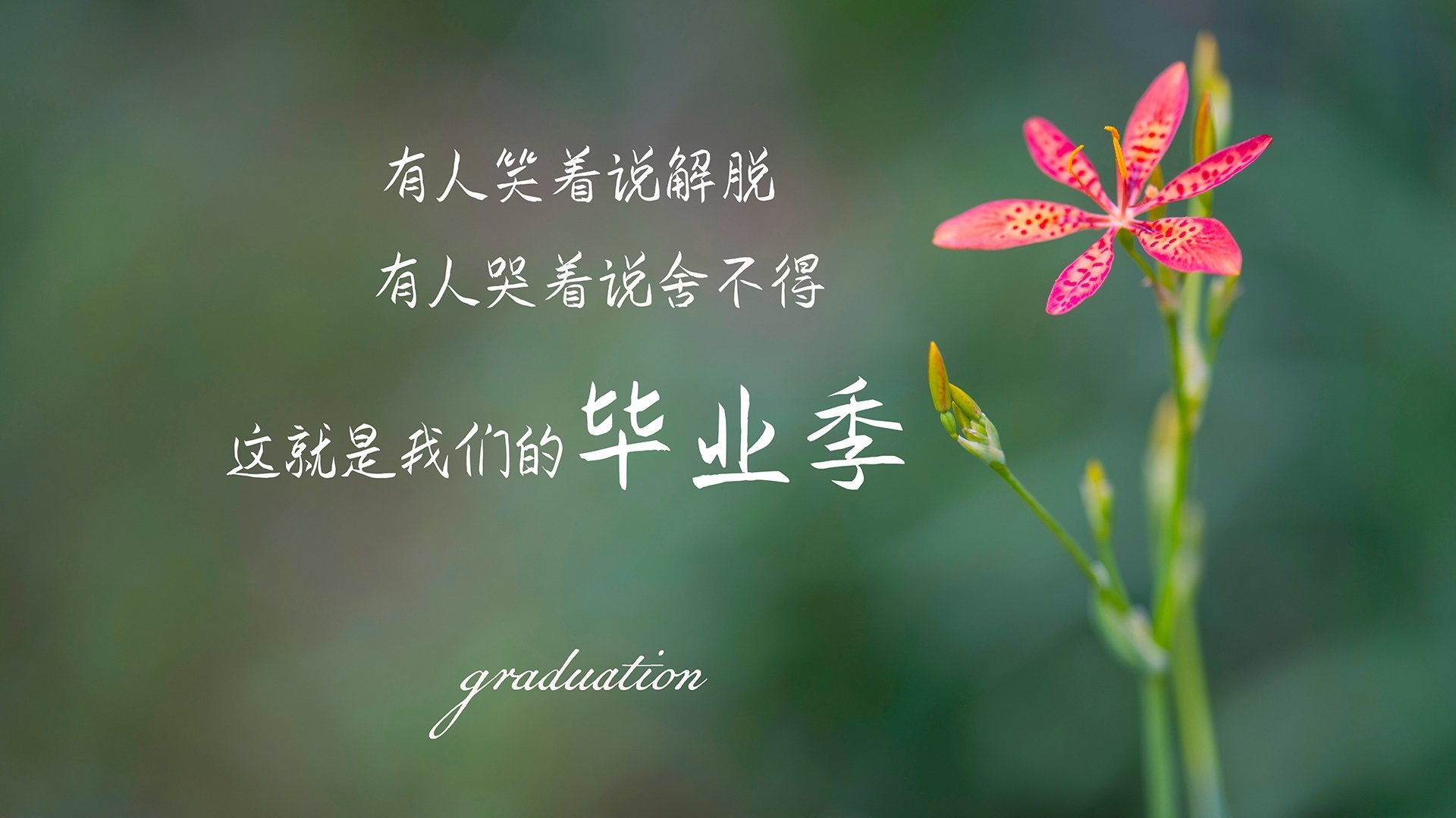 曼城中场德布劳内多次助攻,展现出色发挥,曼城德布劳内位置