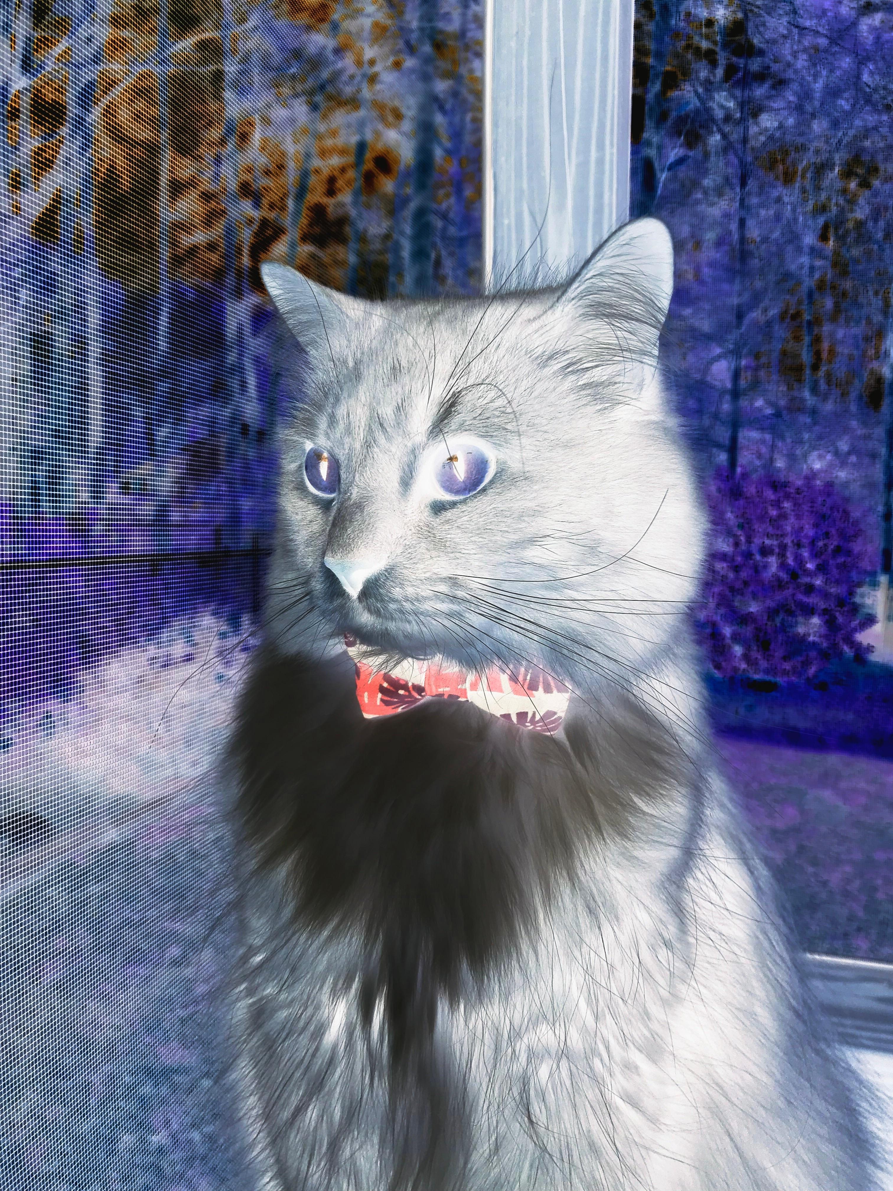 华体会登录入口-瓦伦西亚客场力克强敌，赢得掌声，瓦伦西亚首发