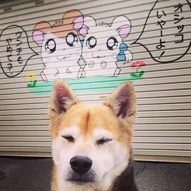 生力啤酒人主场战绩稳健,生力啤酒我要代理的电话是多少