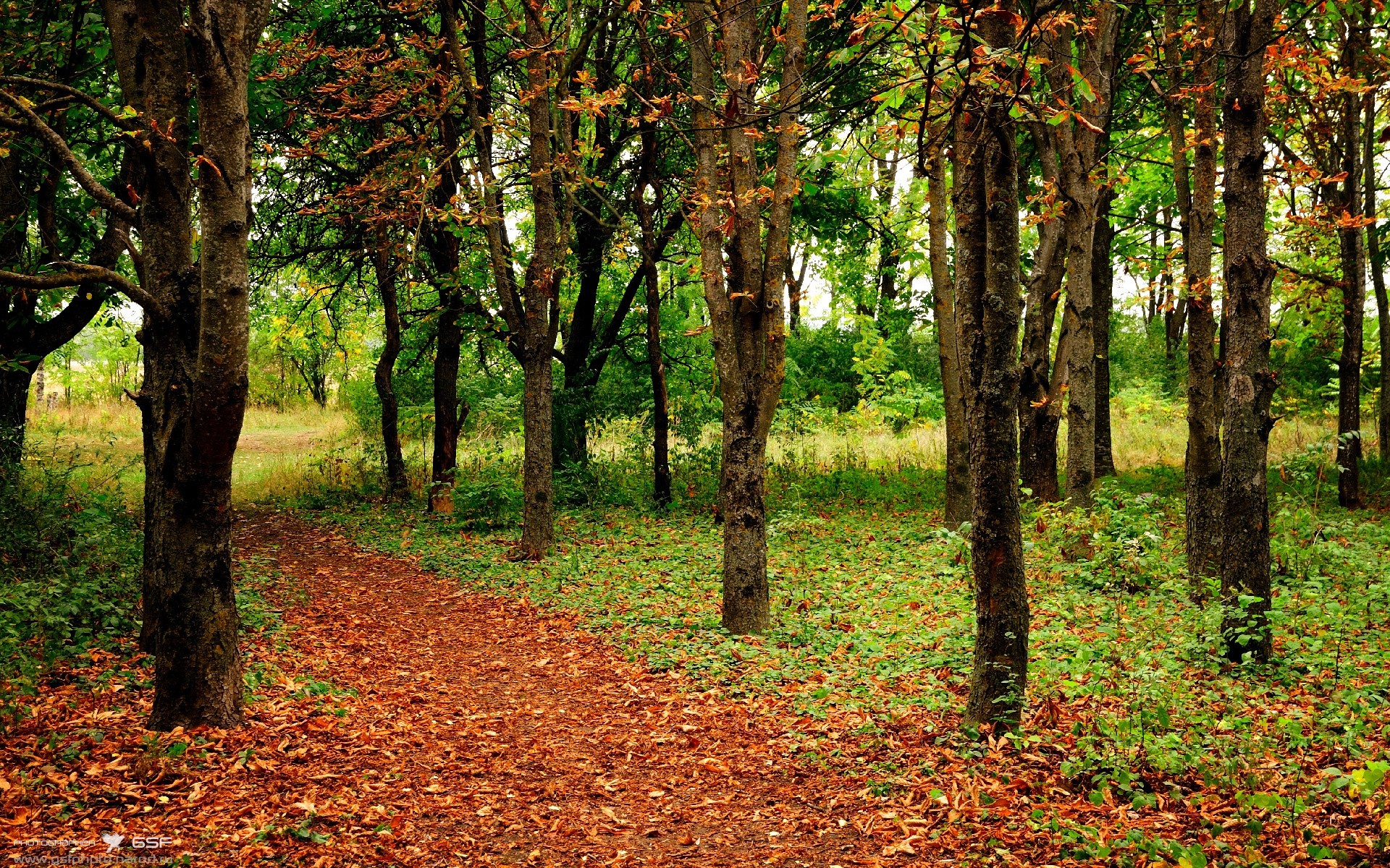 瓦伦西亚客场0-2不敌西班牙人,进攻端哑火,瓦伦西亚队