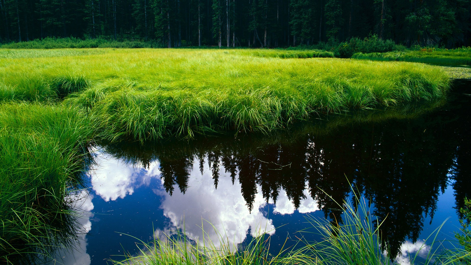 瓜达拉哈拉与国内足球组织达成合作协议，瓜达拉哈拉对莱昂