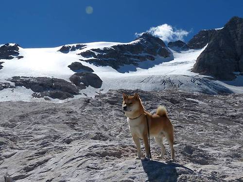 华体会登录最新地址-雷霆逆转公牛，常规赛巅峰对决中亚历山大三分雨不断，公牛战绩