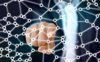 华体会登录最新地址-中国篮球职业联赛青训体系的结构优化，中国青年篮球联赛简称