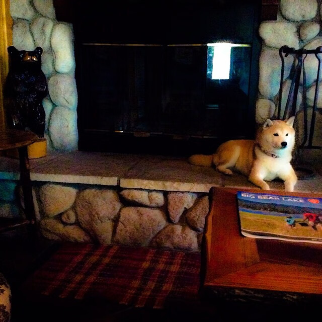 中小学体育教师激励机制研究，中小学体育教师培训