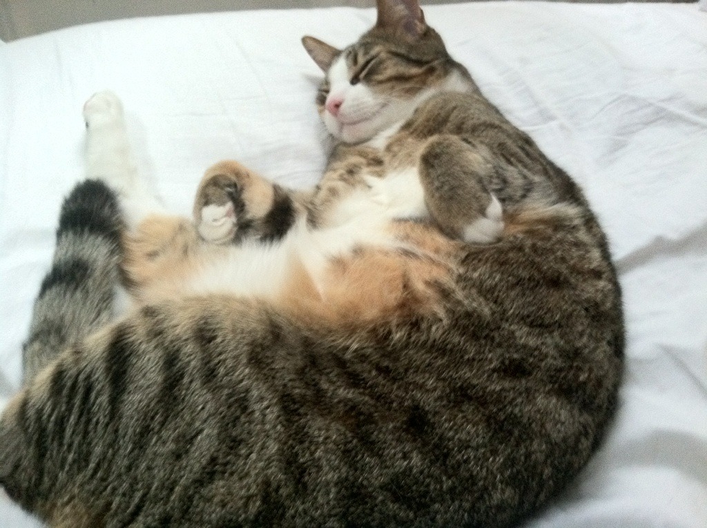 中国三人篮球女队加强控球能力，中国三人篮球女队加强控球能力的训练