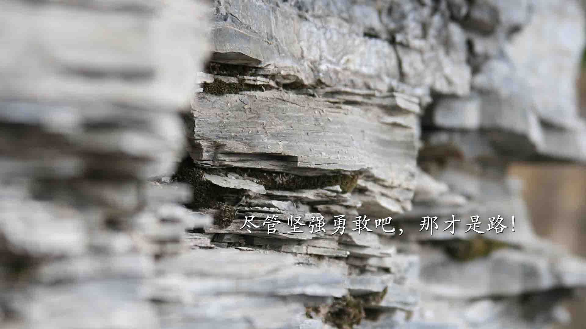 体育新闻中心推动体育赛事版权保护法律框架完善,体育赛事媒体