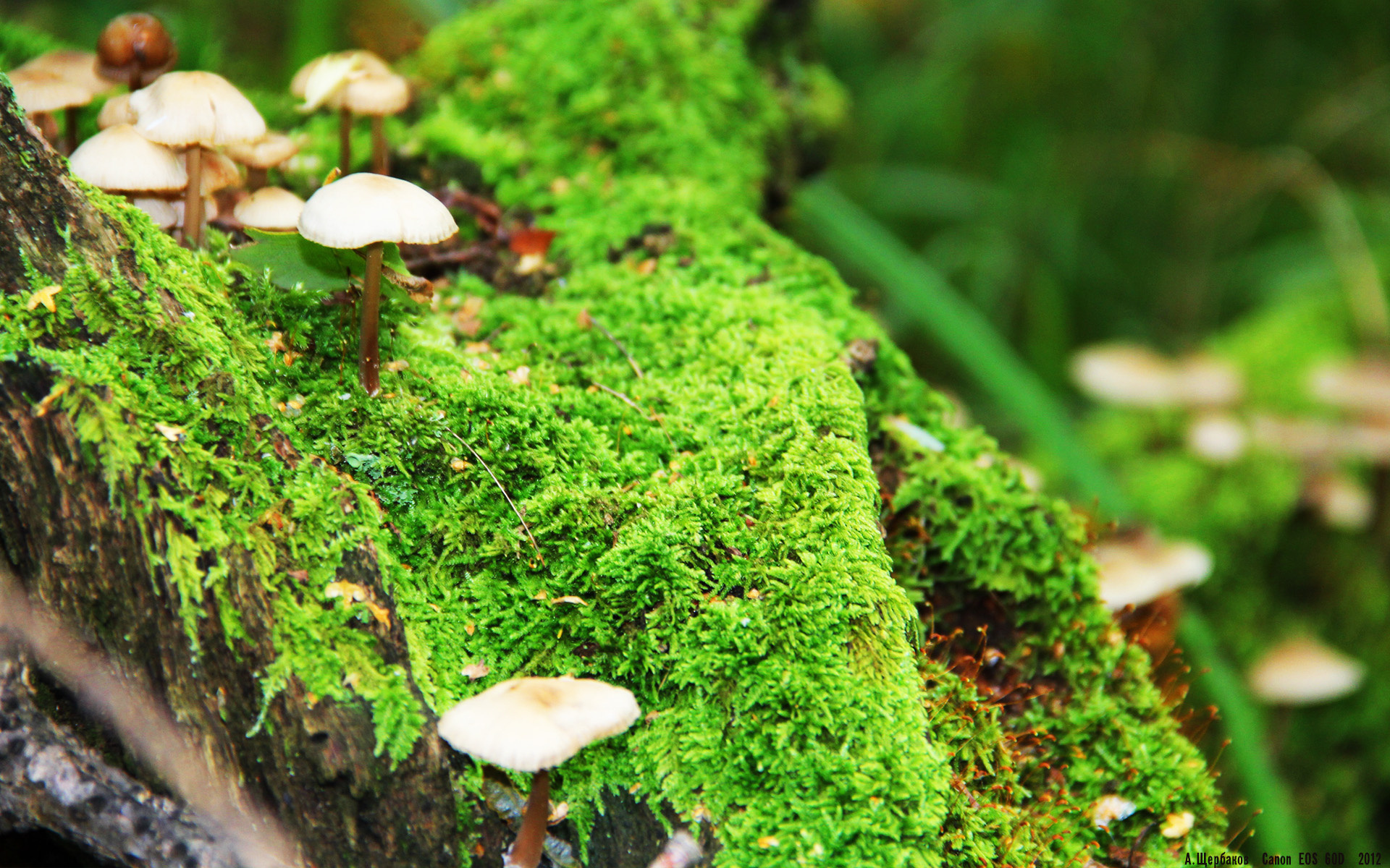 华体会官方网站首页-前场抢断成功是否决定高压战术有效性，篮球前场抢断后14秒还是24秒