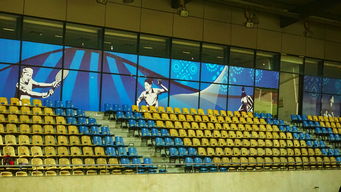 华体会在线-新加坡队未来计划：建立更完善的青少年乒乓培养体系，新加坡乒乓球运动