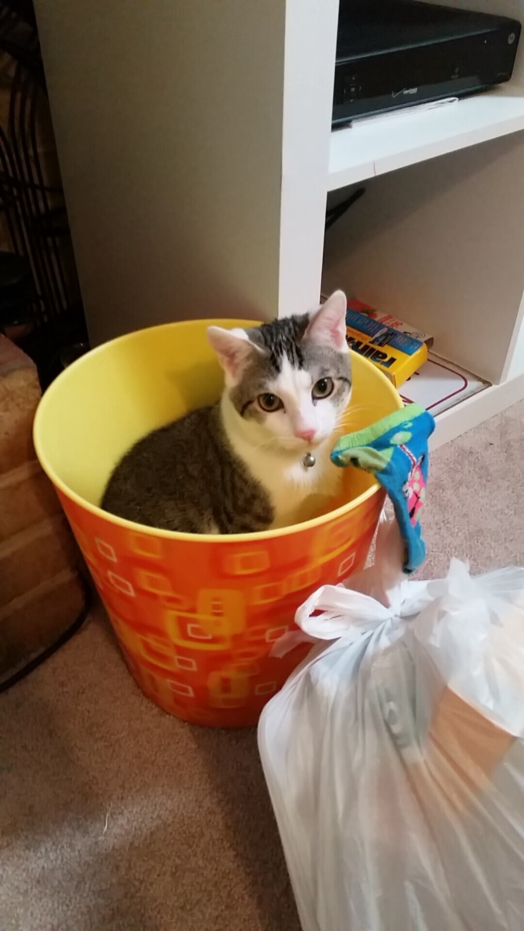 华体会hth娱乐平台-新加坡队未来展望：如何提高球员的多元化技术能力，新加坡打球