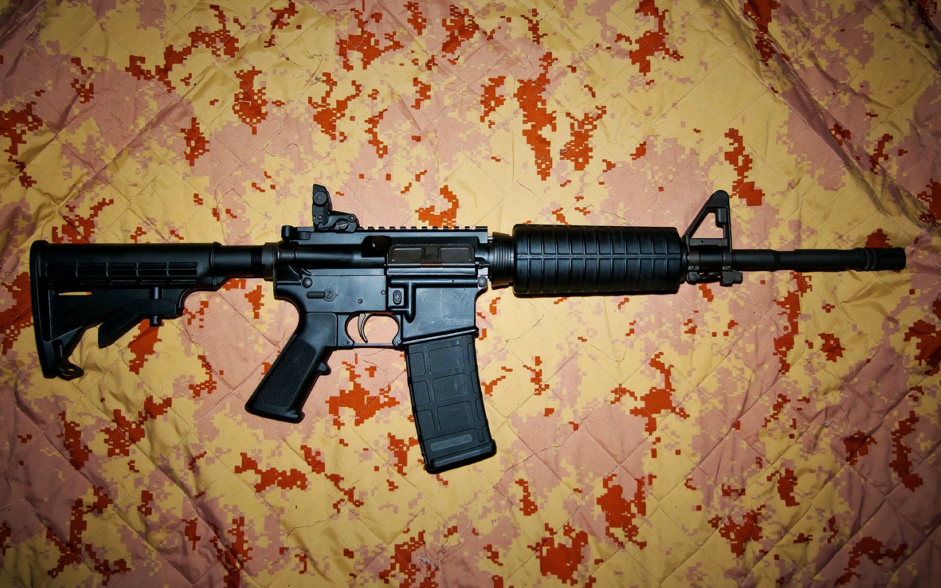 澳男泳队团结奋进 为巴黎蓄力，澳大利亚男子游泳冠军