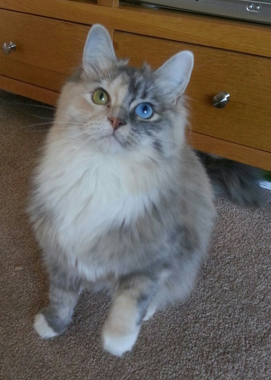 布隆迪男篮在非洲预赛中奋勇向前，战斗精神昂扬